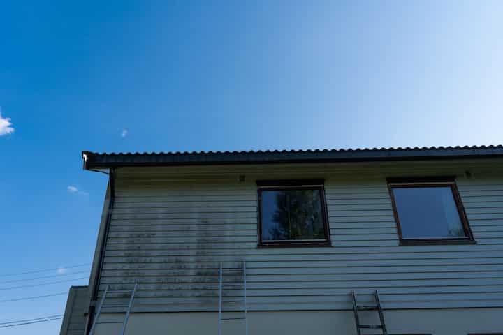 exterior mold removal services Brandon